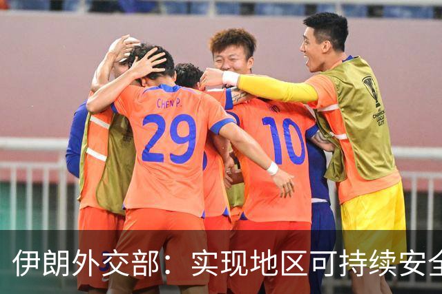 伊朗外交部：实现地区可持续安全需依靠各国信任与合作
