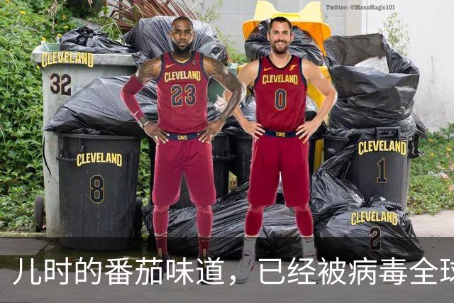 儿时的番茄味道，已经被病毒全球灭绝了20多年