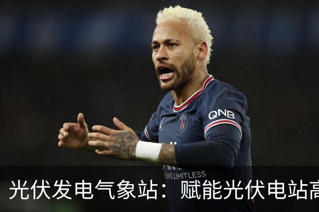 光伏发电气象站：赋能光伏电站高效运行的监测伙伴
